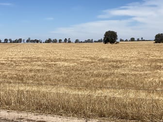 Banyena VIC 3388 - Image 2