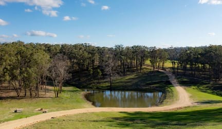 6693 New England HIghway Tenterfield NSW 2372 - Image 1
