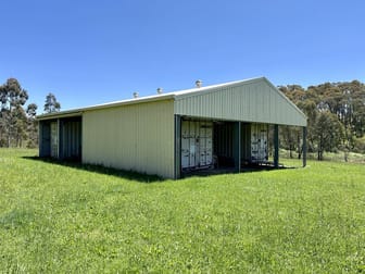 601 McEachern Lane Tumbarumba NSW 2653 - Image 3