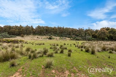 291 Woolridge Road Rhyndaston TAS 7120 - Image 3