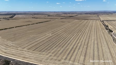 Lot 1 Baandee North Road North Baandee WA 6412 - Image 3