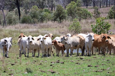 Lot 33, 34 & 35 Bilboolan Road, Mungy Mount Perry QLD 4671 - Image 1