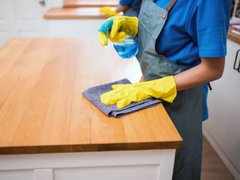 Cleaning & Maintenance  business for sale in Sydney Region NSW - Image 2