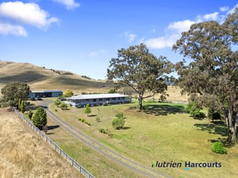 17 King Parrot Creek Road Kerrisdale VIC 3660 - Image 1
