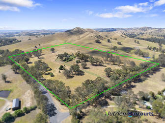 17 King Parrot Creek Road Kerrisdale VIC 3660 - Image 3