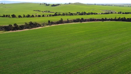 85 McCallum Road Pekina SA 5431 - Image 2