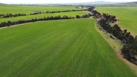 85 McCallum Road Pekina SA 5431 - Image 3