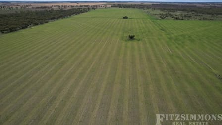 24 Inverai Road Jandowae QLD 4410 - Image 3