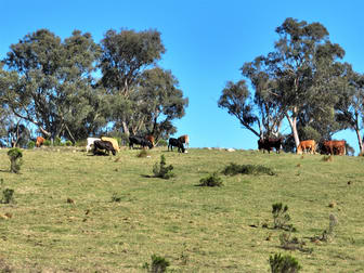 1886 Gurrundah Road Goulburn NSW 2580 - Image 2