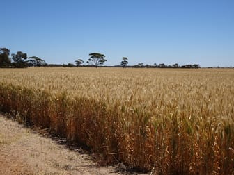 Williams Kondinin Road Kondinin WA 6367 - Image 1