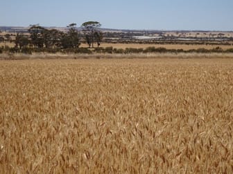Williams Kondinin Road Kondinin WA 6367 - Image 3