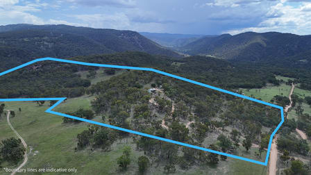 813 Bluff River Road Tenterfield NSW 2372 - Image 1