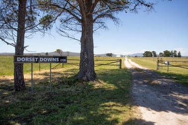 2728 Waterhouse Road Waterhouse TAS 7262 - Image 3