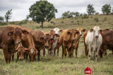 Mundubbera QLD 4626 - Image 2