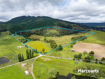 Lot 1 South Springfield Road Springfield TAS 7260 - Image 1