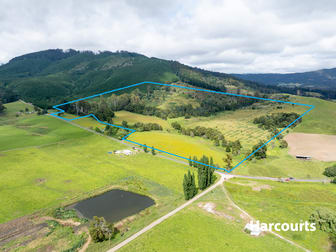 Lot 1 South Springfield Road Springfield TAS 7260 - Image 2