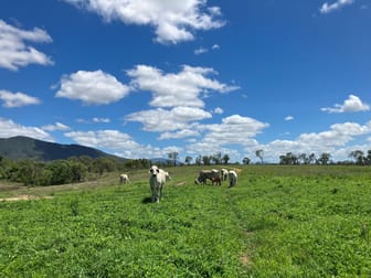 Bowen QLD 4805 - Image 3