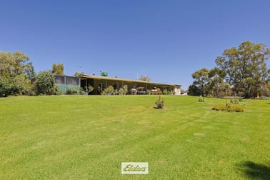 490 Low Darling Road Pomona NSW 2648 - Image 2