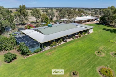 490 Low Darling Road Pomona NSW 2648 - Image 3