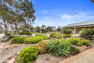 24 Moccundunda Road Clare SA 5453 - Image 1