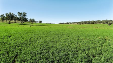 9228 Mitchell Highway Wellington NSW 2820 - Image 3