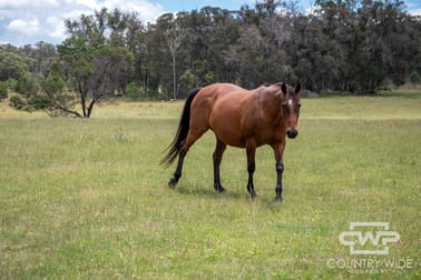 1, - Watsons Road Pinkett NSW 2370 - Image 3