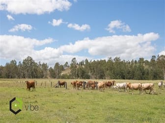 339 Washpool Road Washpool QLD 4306 - Image 3