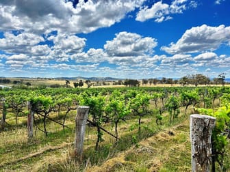 376 Kingstown Road Uralla NSW 2358 - Image 1