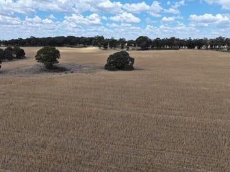 'Quondi', Dirnaseer Road Combaning NSW 2666 - Image 2