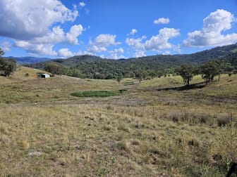 "KENDALL HILLS" WEABONGA RD, LIMBRI Tamworth NSW 2340 - Image 2