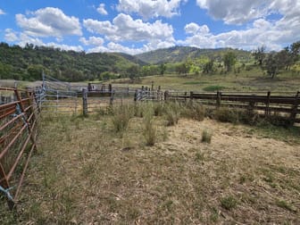 "KENDALL HILLS" WEABONGA RD, LIMBRI Tamworth NSW 2340 - Image 3