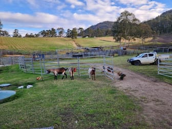 2531 Rocky River Road Rocky River NSW 2372 - Image 2