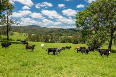 310 Yessabah Road Yessabah NSW 2440 - Image 1