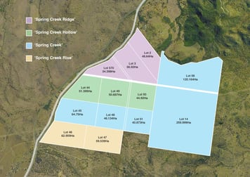 0 'Spring Creek' Capricorn Highway Westwood QLD 4702 - Image 1