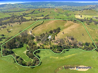 241 Frog Ponds Road Yea VIC 3717 - Image 3