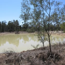 129 Miegunyah Court Tara QLD 4421 - Image 3