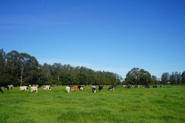 282 Newtons Road Dumaresq Island NSW 2430 - Image 3