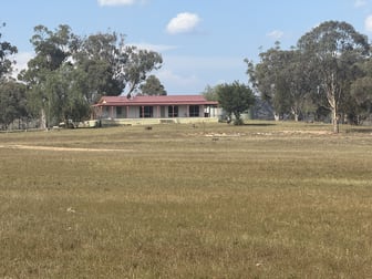 207 Redmanvale Road Jerrys Plains NSW 2330 - Image 1
