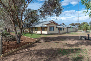 217 Mallee Road Walker Flat SA 5238 - Image 2