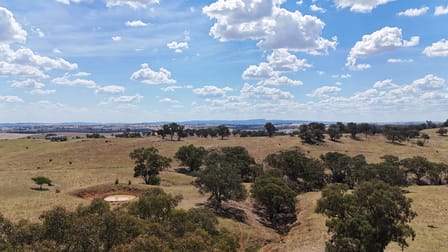 "Karinya" Pride of Oak Road Canowindra NSW 2804 - Image 3