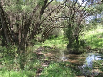 "Burnima" 121 Sheep Station Creek Rd Bingara NSW 2404 - Image 2