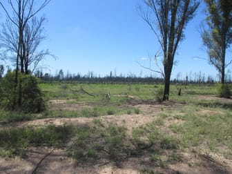 Lot 163 Tregathlyn Road Tara QLD 4421 - Image 1