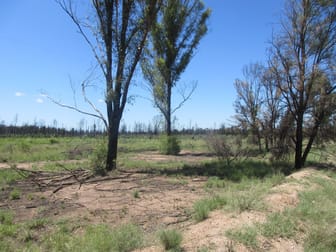 Lot 163 Tregathlyn Road Tara QLD 4421 - Image 2