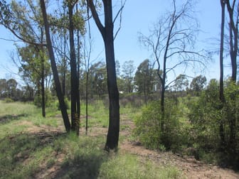 Lot 163 Tregathlyn Road Tara QLD 4421 - Image 3