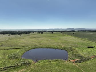8722 Black Stump Way Tambar Springs NSW 2381 - Image 2