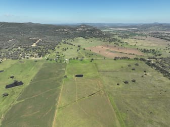 8722 Black Stump Way Tambar Springs NSW 2381 - Image 3