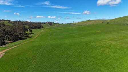 39 Glenholme Rd Wirrabara SA 5481 - Image 1