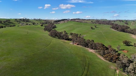 39 Glenholme Rd Wirrabara SA 5481 - Image 2