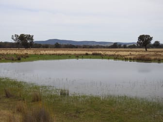 192 Hoskin Lane Violet Town VIC 3669 - Image 1