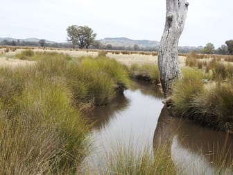 192 Hoskin Lane Violet Town VIC 3669 - Image 3